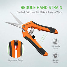 Load image into Gallery viewer, 6.5 Inch Gardening Hand Pruner Pruning Shear with Straight Stainless Steel Blades Orange