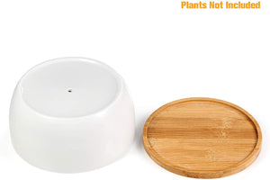 6.5 inch Round Ceramic White Succulent Cactus Planters Pots with Drainage Bamboo Trays - Plants Not Included
