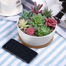 Load image into Gallery viewer, 6.5 inch Round Ceramic White Succulent Cactus Planters Pots with Drainage Bamboo Trays - Plants Not Included