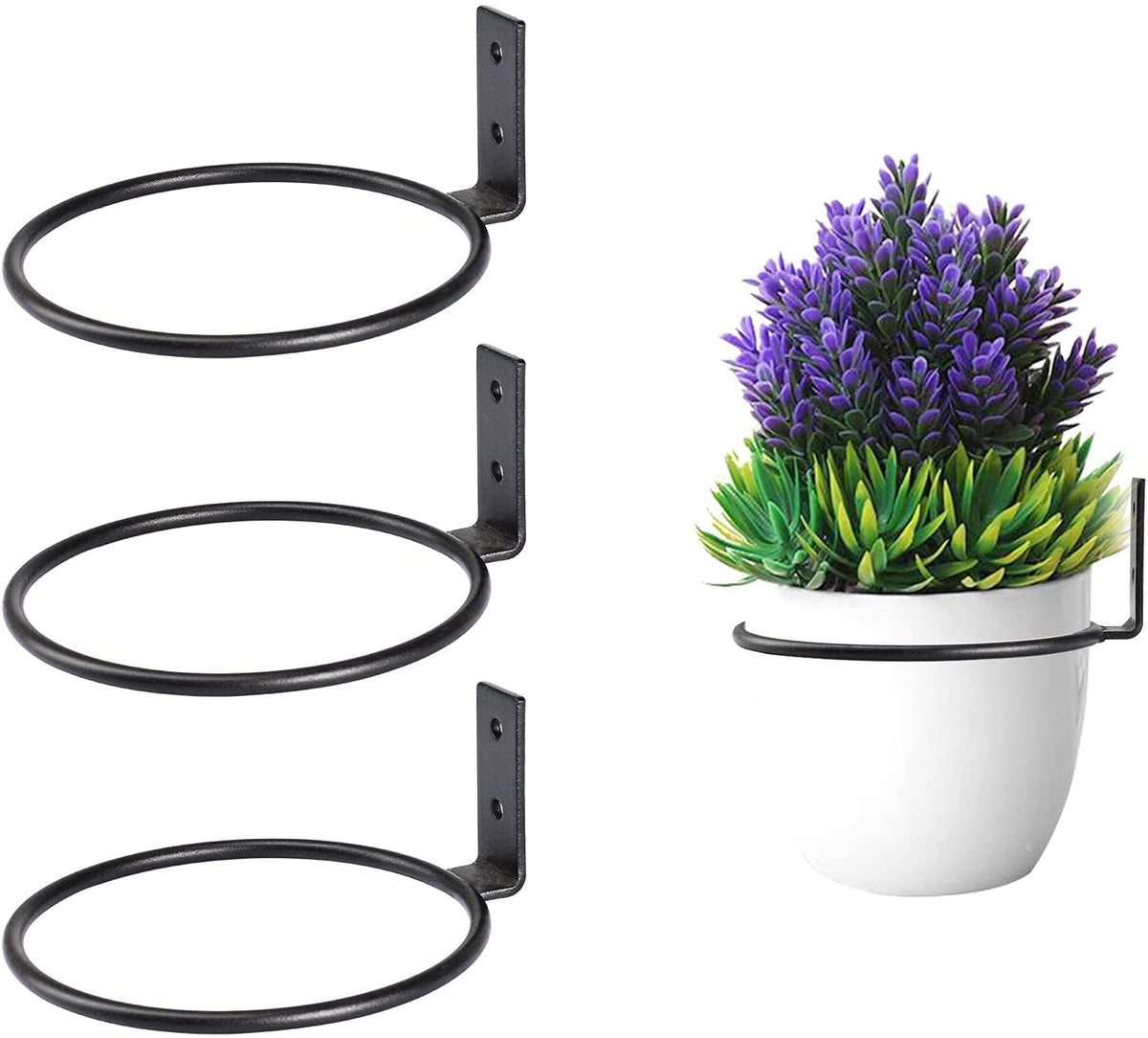 wall mount plant pot holder Flower Plant Holder Ring Wall Mounted,4 Inch Plant Wall Hanger Rings,M – TreeLen