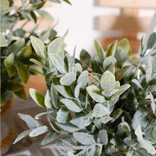 Load image into Gallery viewer, Artificial Plants Small Potted Plastic Fake Plants Green Rosemary Faux Greenery Topiary Shrubs Plant for Home Decor Office Desk Bathroom Farmhouse Tabletop Indoor House Decorations