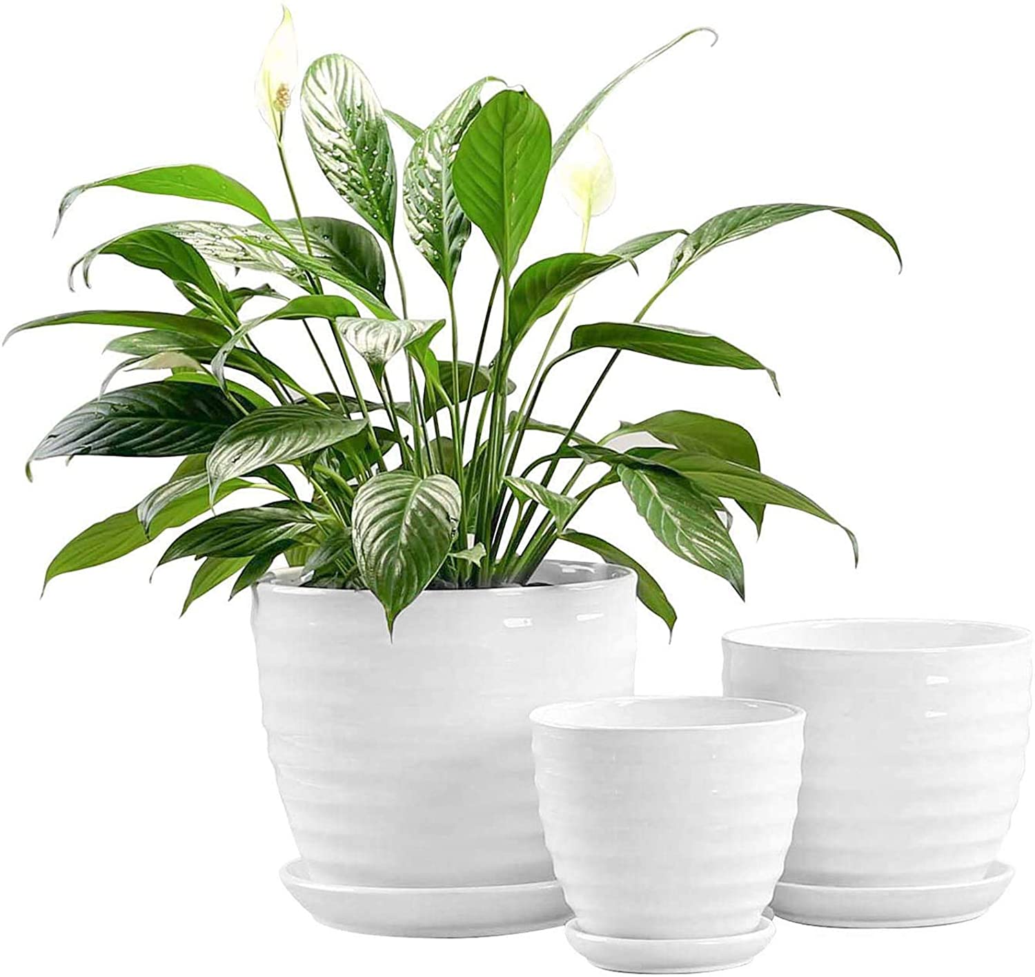 ceramic plant pots set of 3 Round Modern Ceramic Garden Flower Pots White Succulent Cactus Plant P – TreeLen