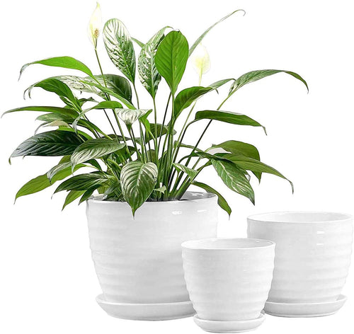 Round Modern Ceramic Garden Flower Pots White Succulent Cactus Plant Pots, Set of 3