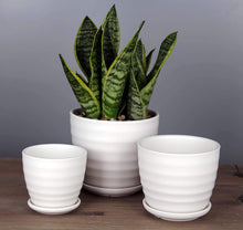 Load image into Gallery viewer, Round Modern Ceramic Garden Flower Pots White Succulent Cactus Plant Pots, Set of 3