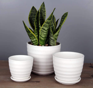 Round Modern Ceramic Garden Flower Pots White Succulent Cactus Plant Pots, Set of 3