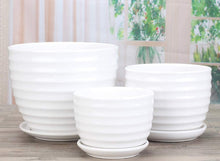 Load image into Gallery viewer, Round Modern Ceramic Garden Flower Pots White Succulent Cactus Plant Pots, Set of 3