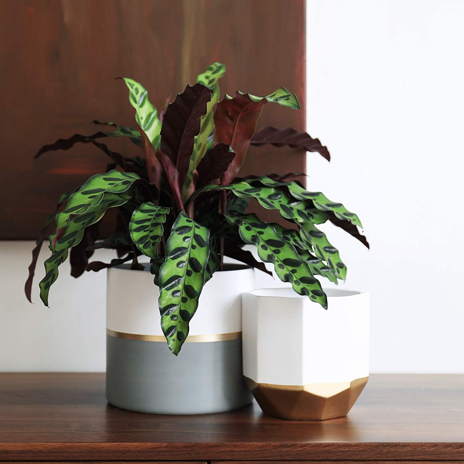 white and gold plant pot White Ceramic Flower Pot Garden Planters 6.7 + 5.4 Inch Indoor, Plant – TreeLen