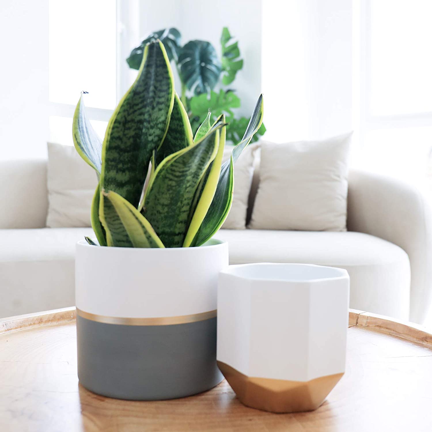 white ceramic indoor planter White Ceramic Flower Pot Garden Planters 6.7 + 5.4 Inch Indoor, Plant – TreeLen