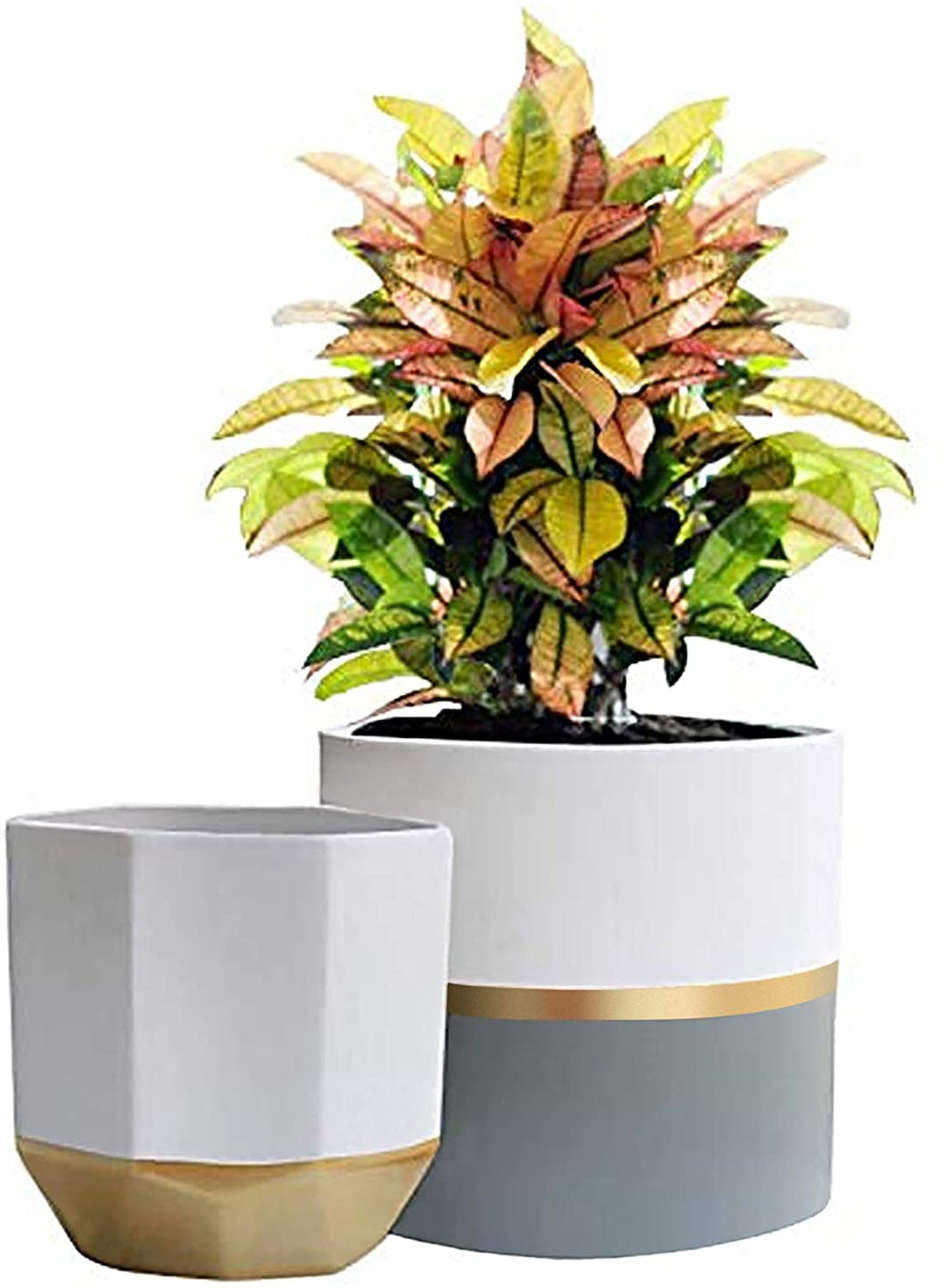 White Ceramic Flower Pot Garden Planters 6.7 + 5.4 Inch Indoor, Plant Containers with Gold and Grey Detailing
