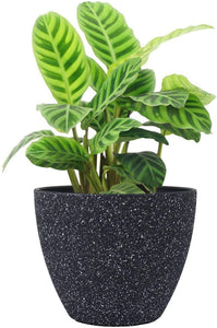 Flower Pots Indoor Outdoor Planter - 8.6 Inch Planter Pot with Drainage, Modern Plant Pot, Speckled-Black