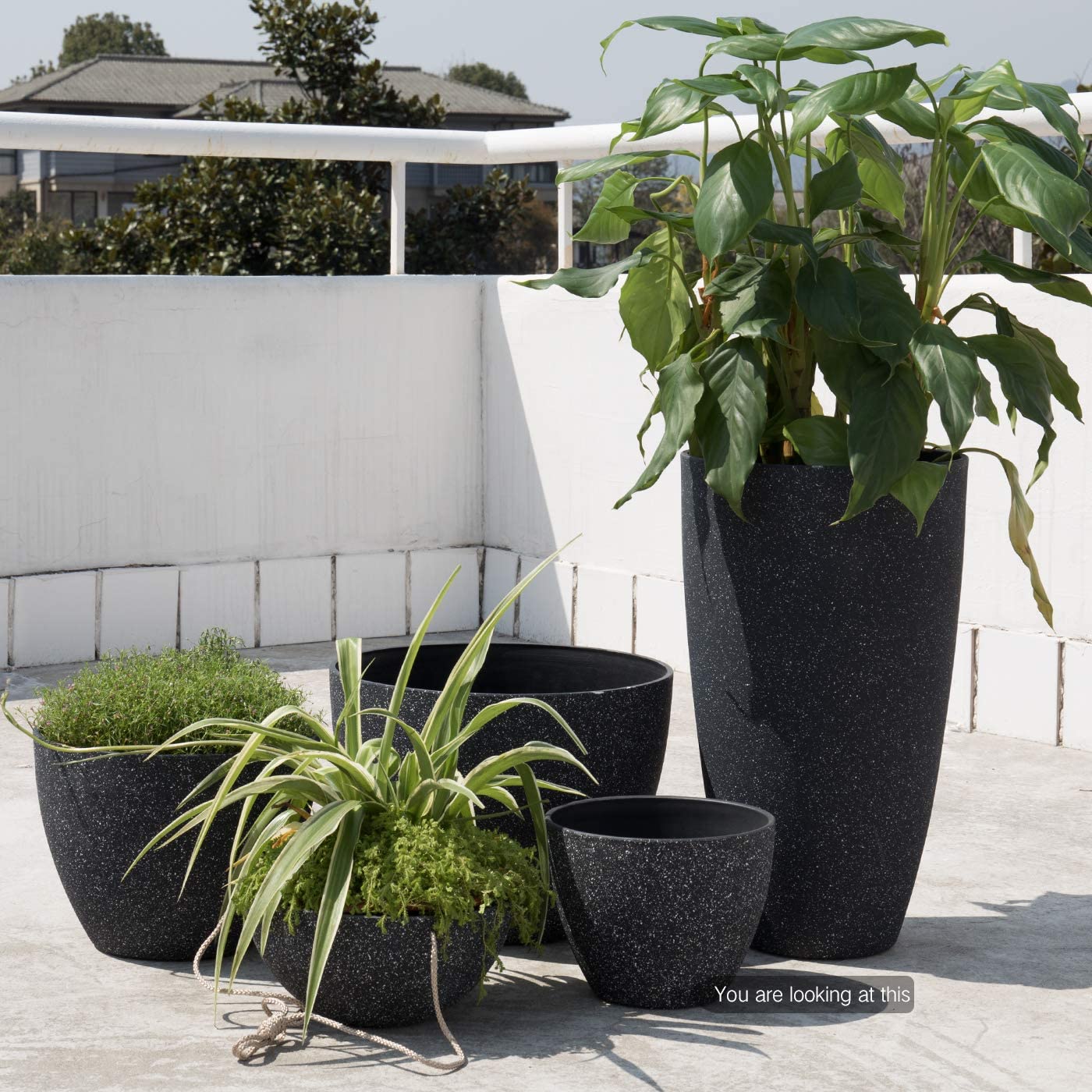 black potted plants Flower Pots Indoor Outdoor Planter