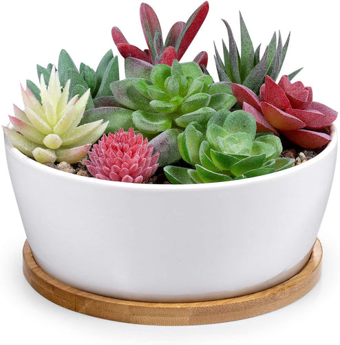 6.5 inch Round Ceramic White Succulent Cactus Planters Pots with Drainage Bamboo Trays - Plants Not Included