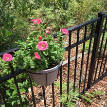 Load image into Gallery viewer, Hanging Railing Planters,Flower Pot Holder Hanger,Black Balcony Planters Railing Hanging,Metal Potted Stand Mounted for Indoor Outdoor 3 Pack