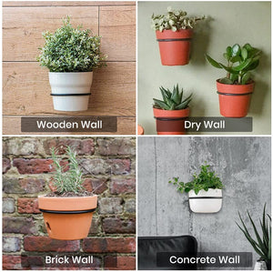 Flower Plant Holder Ring Wall Mounted,4 Inch Plant Wall Hanger Rings,Metal Plant Holders Wall Planter Hook 3 Pack Black