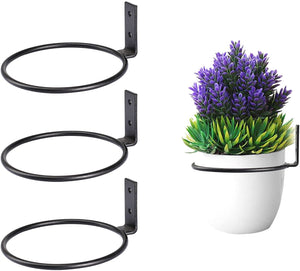 4 inch Flower Pot Holder Ring Wall Mounted for Inside, Black Metal Planter Hooks Hangers Wall Bracket for Garden Yard Decoration, 3 Pack