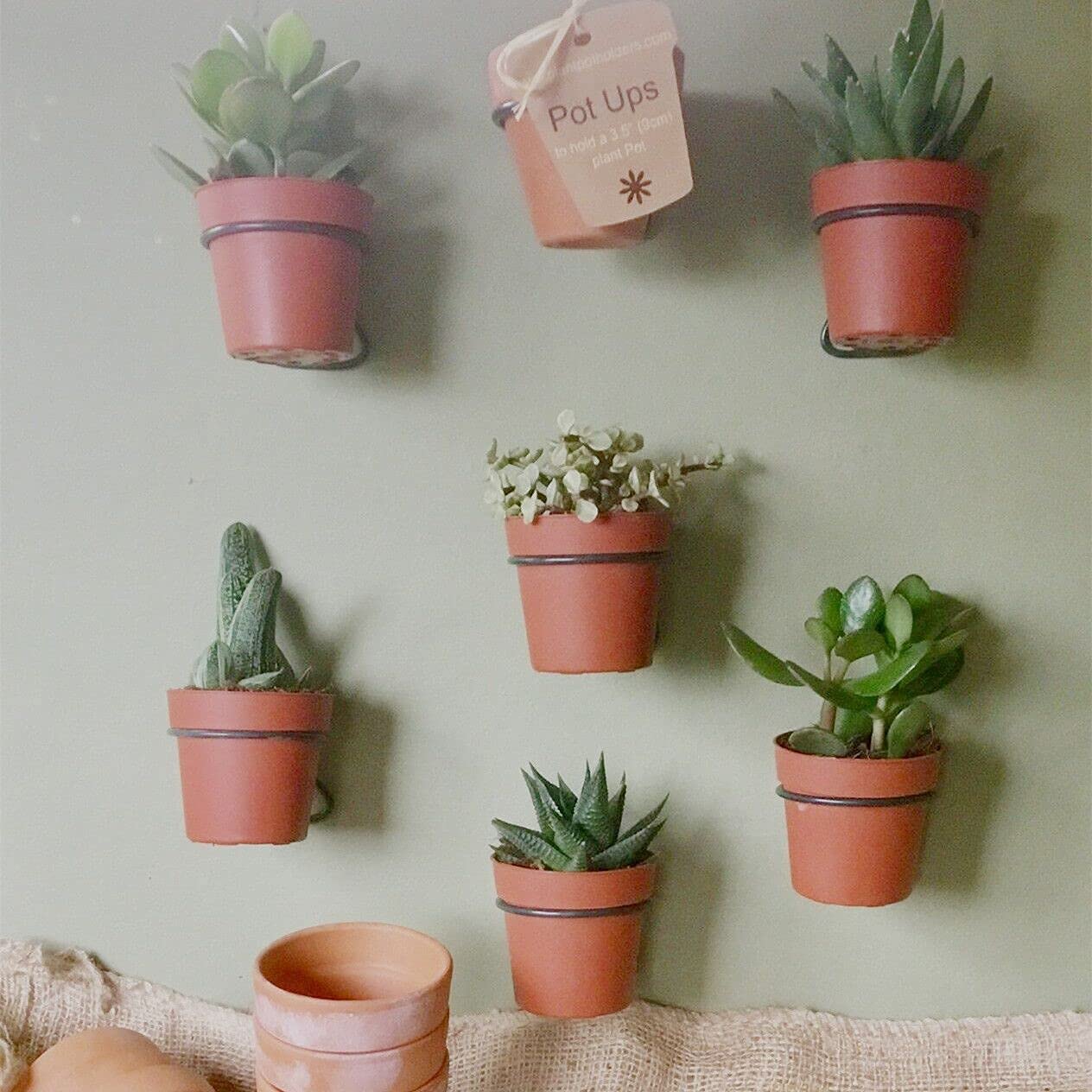 pot plant wall holder Flower Plant Holder Ring Wall Mounted,4 Inch Plant Wall Hanger Rings,M – TreeLen