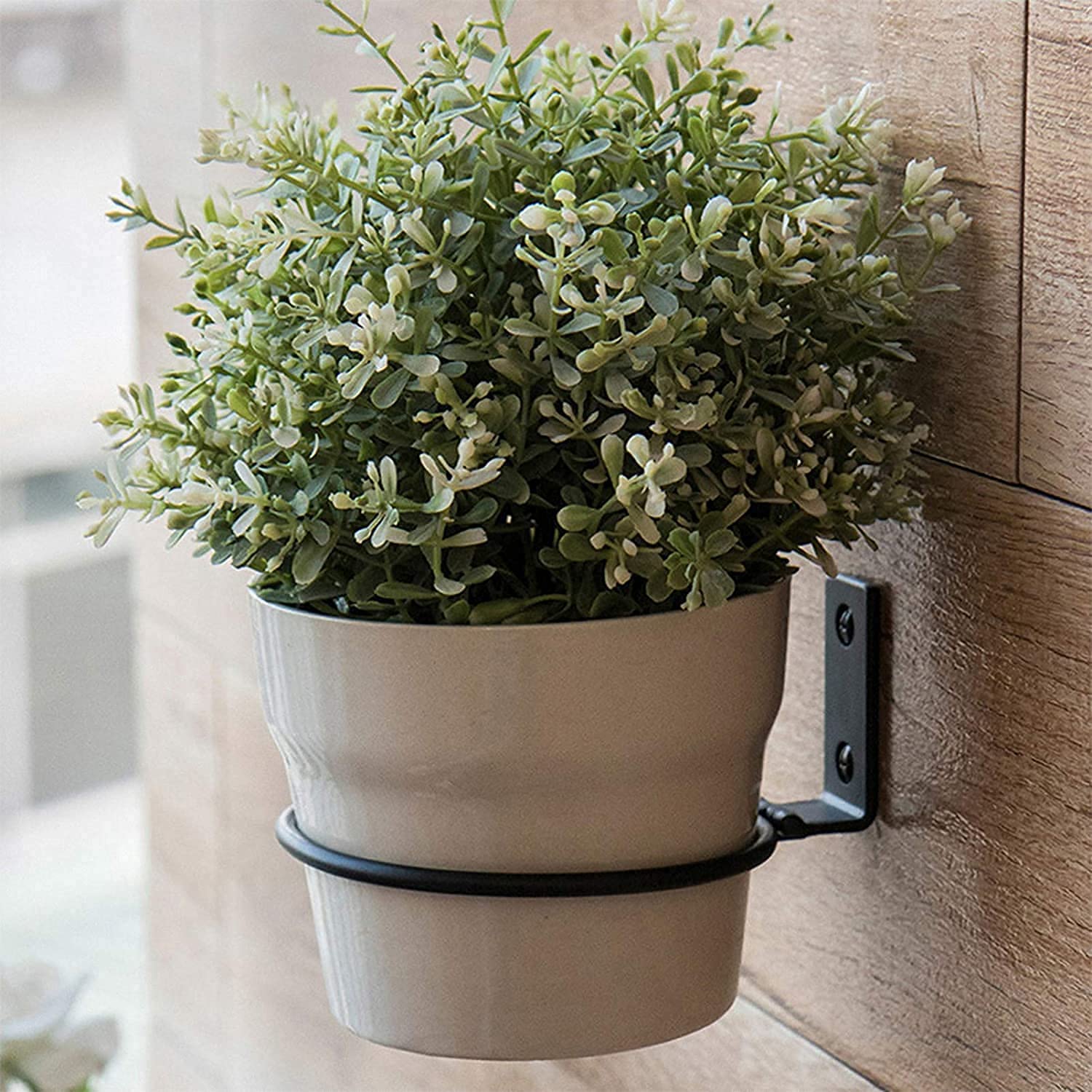 wall plant pot rack Flower Plant Holder Ring Wall Mounted,4 Inch Plant Wall Hanger Rings,M – TreeLen